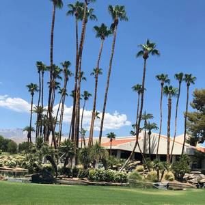 Meet your Posher, Marcial